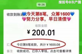 丹东为什么选择专业追讨公司来处理您的债务纠纷？